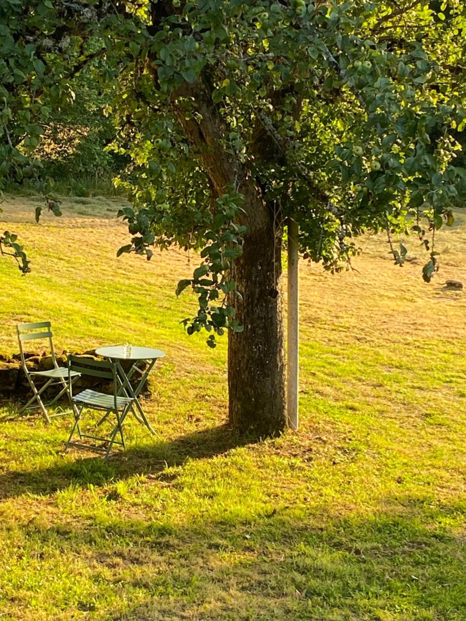 Une Pause En Correze Sarroux Luaran gambar